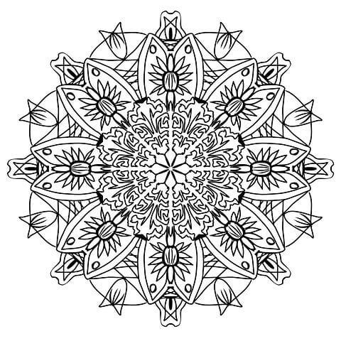 Helping your kid succeed in Maths