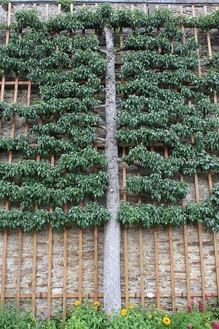 Believing in your kid success