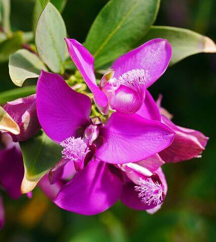 Maths Tutoring to succeed