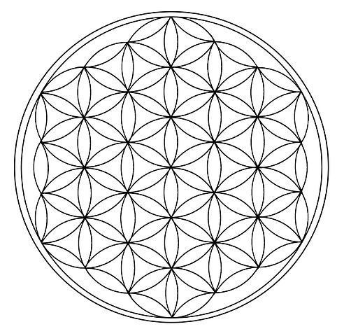 Private one-on-one tutoring approach