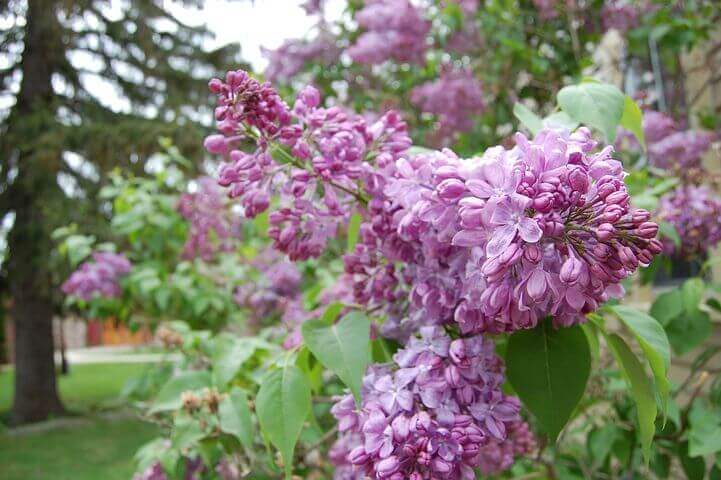 Private one-on-one tutoring approach