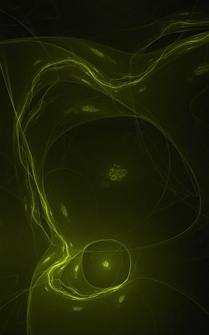 My Tutoring approach