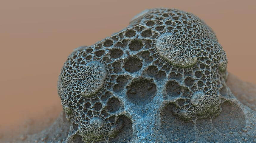 My Tutoring approach