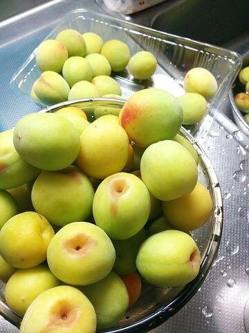 Tutor maths to succeed