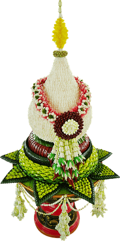 More info about myself as a tutor image