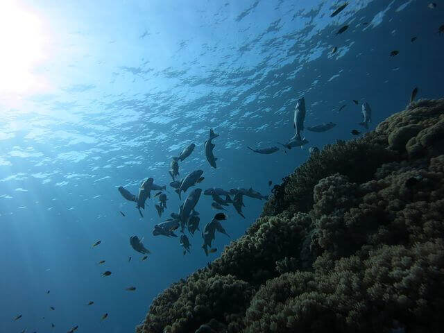 Math Links for all Levels Image