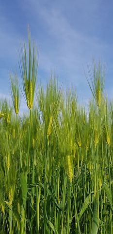 My hobies other then teaching