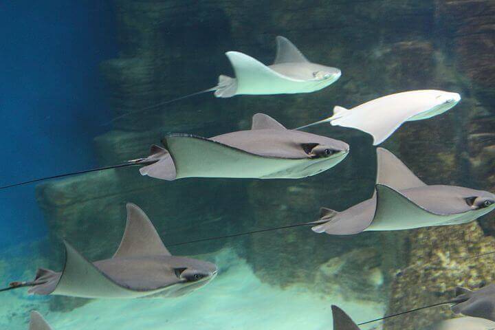 Maths tutoring - My work