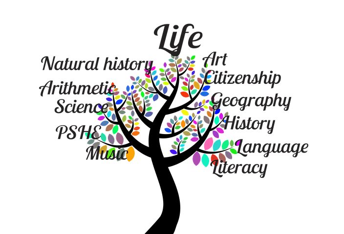 Maths tutoring - My working expierience