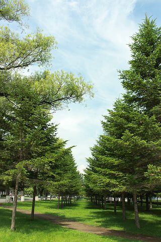 Maths tutoring - Work done