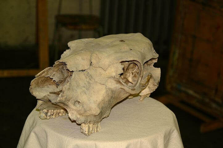 Maths tutoring - Past work