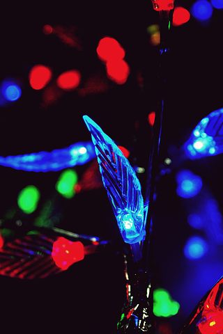 Maths Subjects and Courses