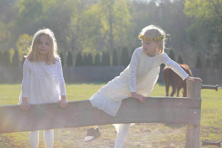 Maths Subjects and Courses Taken