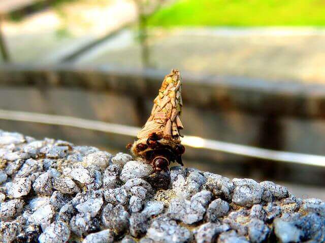 Maths Subjects I focus in