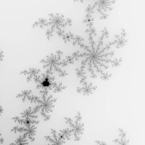 Maths Subjects I focus in